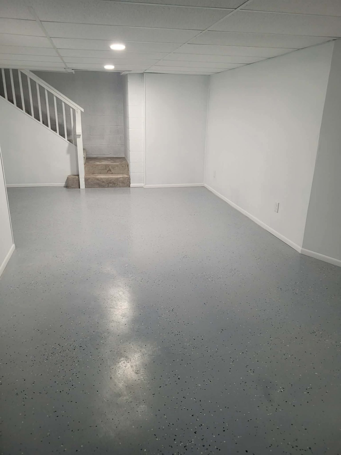 Basement epoxy flake floor